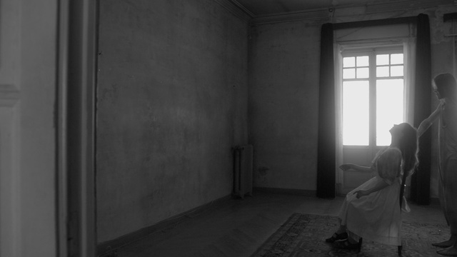 Video Reference: Black, White, Room, Black-and-white, Wall, Monochrome, Architecture, Floor, House, Building, Indoor, Window, Sitting, Door, Small, Man, Kitchen, Standing, Living, Young, Table, Holding, Woman, Glass, Bed, Dog, Laying, Bedroom, Black and white, Fog