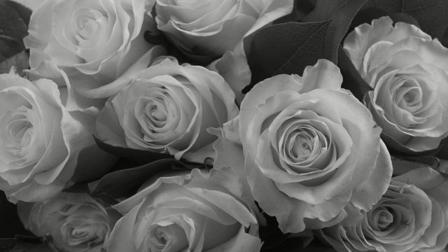 Video Reference: bouquet, flower arrangement, arrangement, rose, decoration, flower, petal, roses, petals, plant, blossom, floral, love, flora, wedding, valentine, bloom, flowers, romance, pink, garden, gift