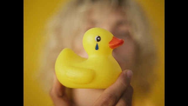 Video Reference: yellow, vertebrate, water bird, ducks geese and swans, close up, beak, duck, bird, macro photography, computer wallpaper