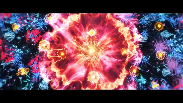 Video Reference: Fractal art, Purple, Psychedelic art, Organism, Kaleidoscope, Art, Graphics, Symmetry, Toy, Screenshot