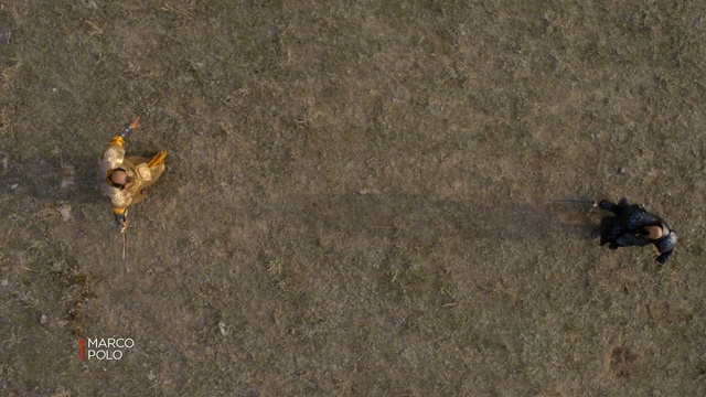 Video Reference: Soil, Insect, Organism, Pest, Fly, Wildlife