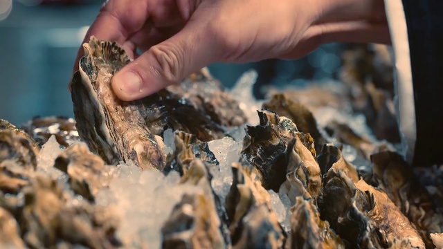 Video Reference: Seafood, Soil