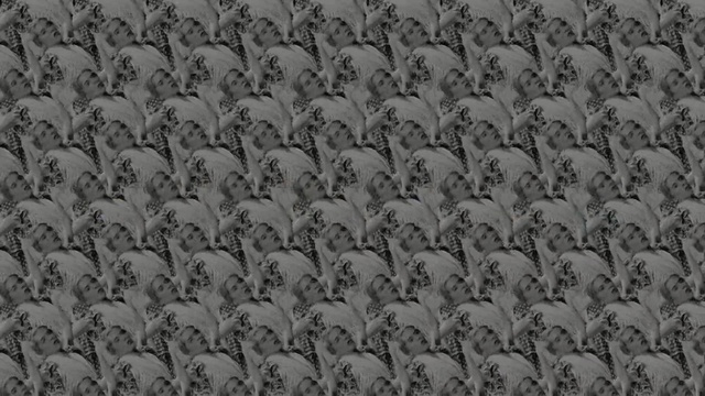 Video Reference: black and white, monochrome photography, monochrome, pattern, font