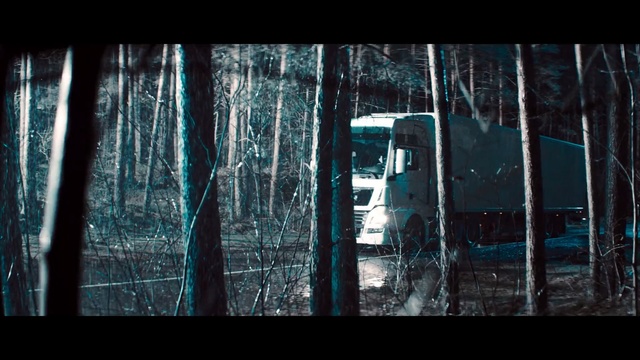 Video Reference: Nature, Tree, Natural environment, Forest, Darkness, Woody plant, Atmosphere, Adaptation, Woodland, Plant