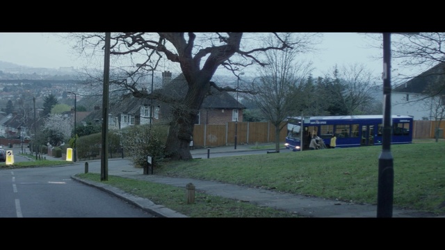 Video Reference: Residential area, Nature, Tree, Property, Mode of transport, Atmospheric phenomenon, Neighbourhood, Suburb, Morning, Grass, Person