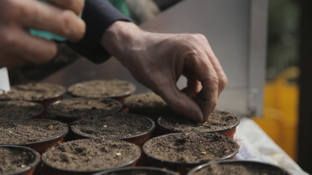 Video Reference: soil, hand, finger