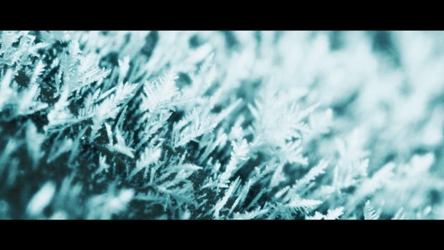 Video Reference: frost, freezing, photography, atmosphere, close up, winter, sky, computer wallpaper, grass, ice