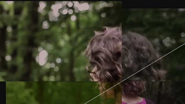 Video Reference: mammal, dog breed, dog like mammal, vertebrate, grass, dog, plant, snout, schnauzer, tree