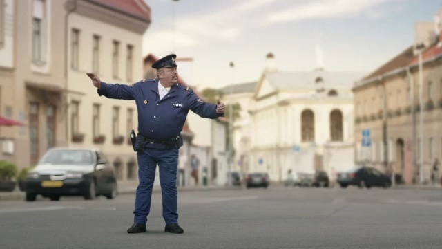 Video Reference: official, pedestrian, street, vehicle, police, police, road, city, asphalt, tourism, Person