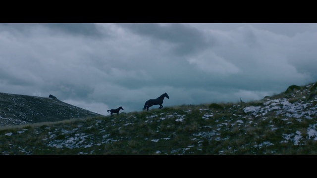 Video Reference: Nature, Sky, Highland, Grassland, Wilderness, Atmosphere, Ecoregion, Chamois, Geological phenomenon, Landscape