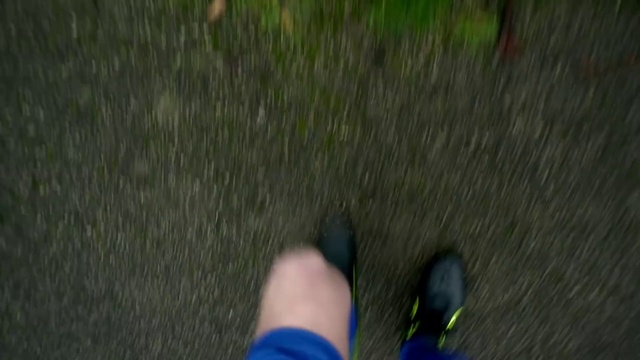 Video Reference: Green, Photograph, Blue, Grass, Leg, Foot, Footwear, Leaf, Shoe, Tree