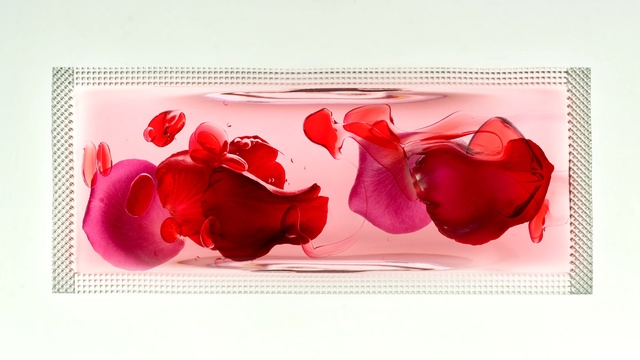 Video Reference: Red, Pink, Petal, Magenta, Tulip, Heart, Still life photography, Still life, Flower, Plant