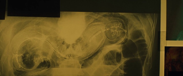 Video Reference: Art, Visual arts, Drawing, Organism, Stock photography, Font, Photography, Portrait, Still life photography, Still life