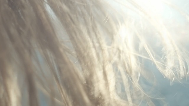 Video Reference: Hair, Blond, Long hair, Hair coloring, Brown hair