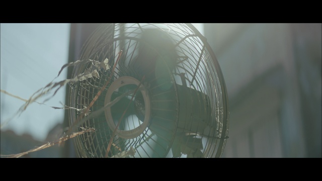 Video Reference: Water, Eye, Organism, Architecture, Photography, Plant