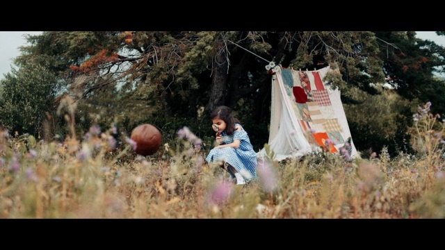 Video Reference: Adaptation, Tree, Organism, Photography, Fun, Rural area, Recreation, Landscape, Plant, Play