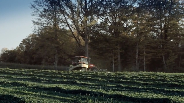 Video Reference: field, tree, grass, agriculture, plant, grass family, rural area, farm, grassland, meadow