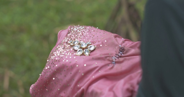 Video Reference: Pink, Water, Dress, Petal, Magenta, Flower, Close-up, Dew, Plant, Textile