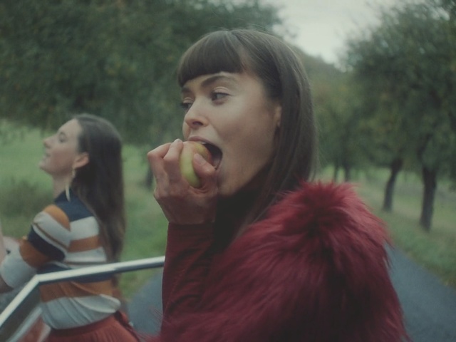 Video Reference: facial expression, person, vertebrate, girl, emotion, tree, fun, eye, smile, plant