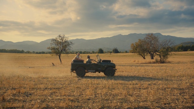 Video Reference: ecosystem, grassland, field, savanna, grass family, prairie, plain, ecoregion, safari, steppe, Person