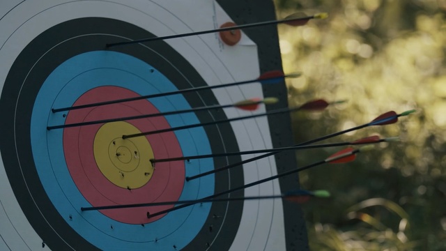 Video Reference: target archery, archery, recreation, ranged weapon, Person