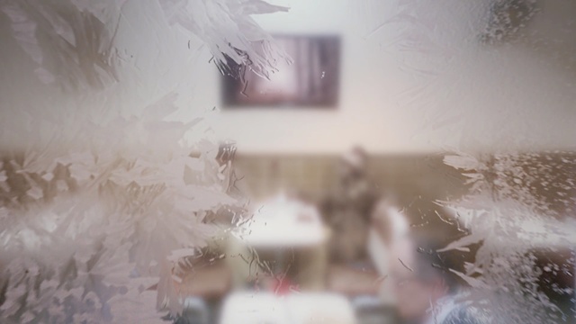 Video Reference: White, Photograph, Room, Tree, Winter, Photography, Plant, Black-and-white, House, Flower