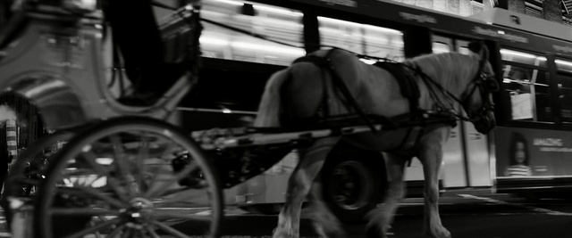 Video Reference: carriage, black, black and white, monochrome photography, horse and buggy, mode of transport, coachman, car, wheel, photography