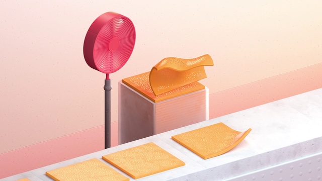 Video Reference: Heart