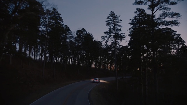 Video Reference: sky, road, nature, tree, woody plant, infrastructure, plant, light, forest, evening
