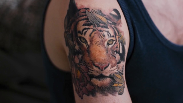 Video Reference: Tiger, Bengal tiger, Tattoo, Shoulder, Felidae, Arm, Joint, Big cats, Wildlife, Skin