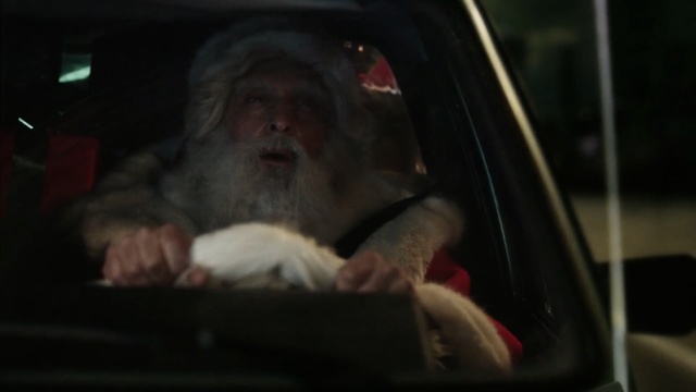 Video Reference: mammal, vertebrate, car, primate, city car, snout, macaque, vehicle, facial hair, window