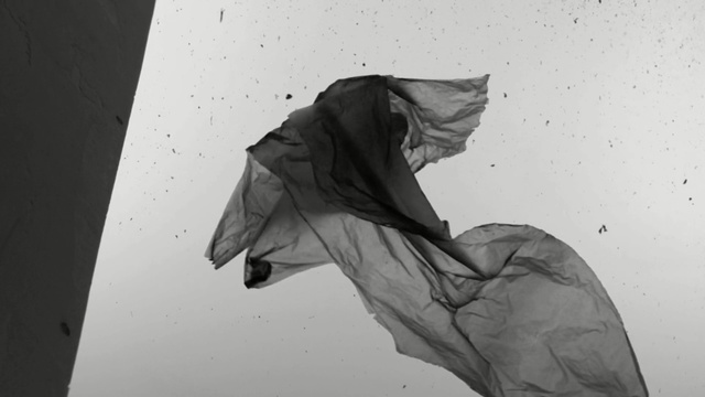 Video Reference: White, Black-and-white, Monochrome photography, Drawing, Monochrome, Hand, Art, Photography, Illustration, Umbrella, Person