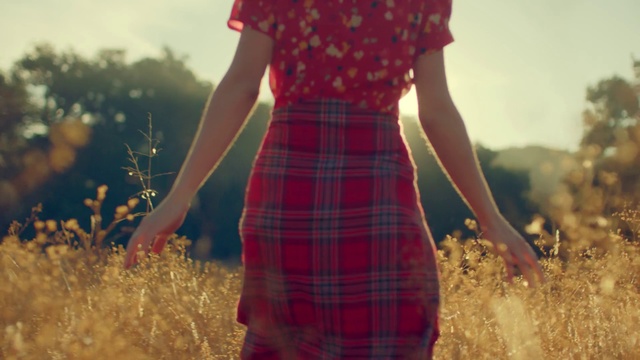 Video Reference: People in nature, Tartan, Plaid, Pattern, Clothing, Red, Textile, Design, Fashion, Dress