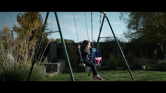 Video Reference: swing, nature, tree, outdoor play equipment, sky, grass, woody plant, plant, fun, photography, Person