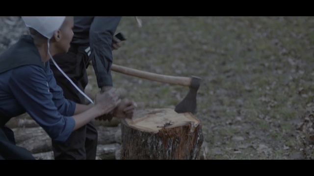 Video Reference: mammal, tree, weapon, screenshot