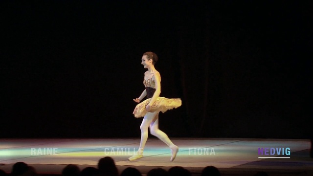 Video Reference: Performing arts, Dancer, Dance, Entertainment, Ballet, Performance, Choreography, Performance art, Concert dance, Modern dance