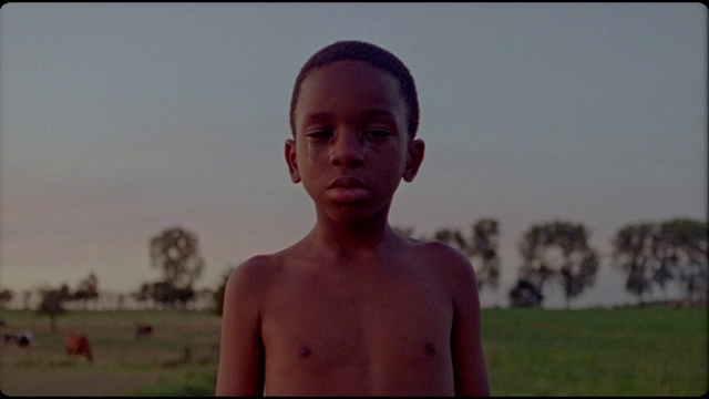 Video Reference: Barechested, Forehead, Human, Muscle, Sky, Chest, Fun, Temple, Vacation, Neck