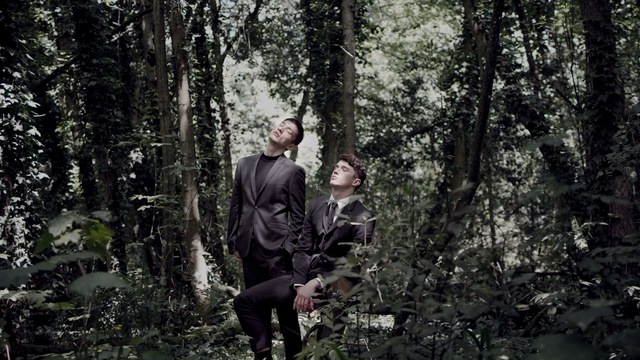 Video Reference: Photograph, Natural environment, Forest, Tree, Natural landscape, Woodland, Jungle, Wilderness, Old-growth forest, Photography