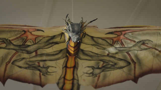 Video Reference: Joint, Wildlife, Drawing, Insect, Art, Fictional character, Person