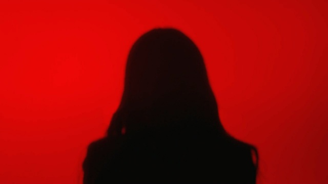 Video Reference: red, black, silhouette, sky, darkness, computer wallpaper, shadow