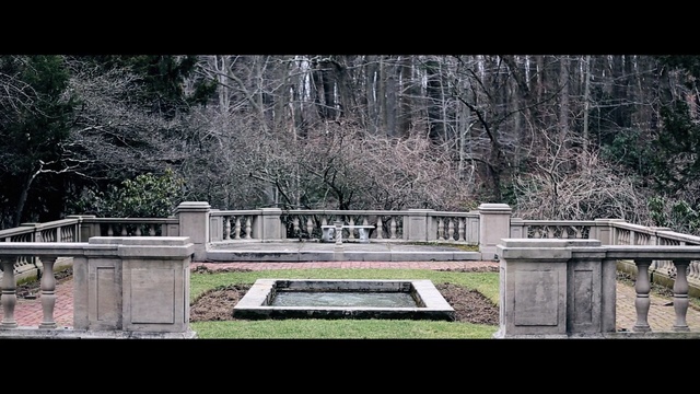 Video Reference: Tree, Water, Grass, Architecture, Bridge, Plant, Landscape, Photography, Walkway, State park