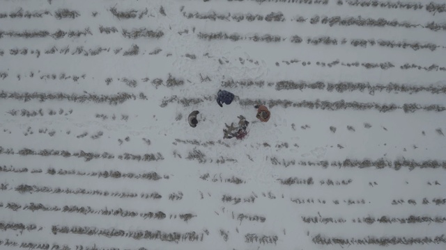 Video Reference: text, handwriting, font, writing