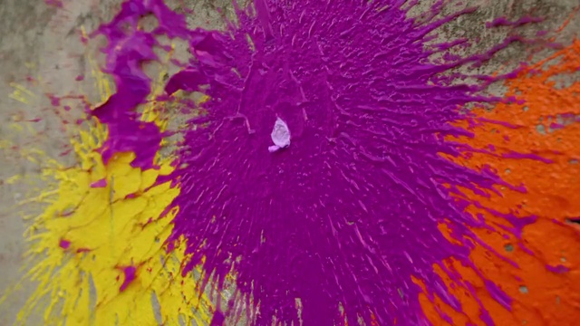 Video Reference: Purple, Red, Violet, Yellow, Pink, Orange, Magenta, Close-up, Organism, Colorfulness