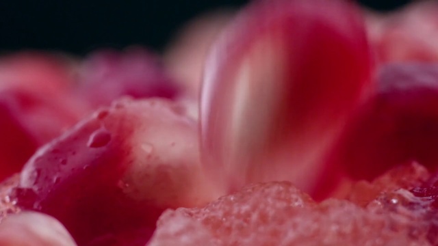 Video Reference: Petal, Pink, Water, Close-up, Macro photography, Plant, Flower, Photography, Sweetness, Dew, Food, Indoor, Fruit, Red, Cake, Piece, Plate, Cream, Dessert, Small, Table, Bowl, Covered, Close, Sitting, Banana, Filled, Sauce, Fork, White, Holding, Cheese, Smoothie, Closeup, Rose, Peach