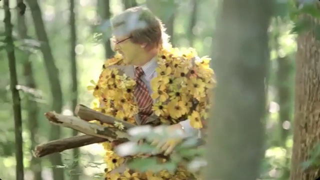 Video Reference: tree, flora, plant, branch, autumn, flowering plant, spring, woodland, flower, trunk, Person