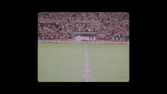 Video Reference: Sport venue, Stadium, Green, Grass, Pink, Text, Line, Purple, Soccer-specific stadium, Font