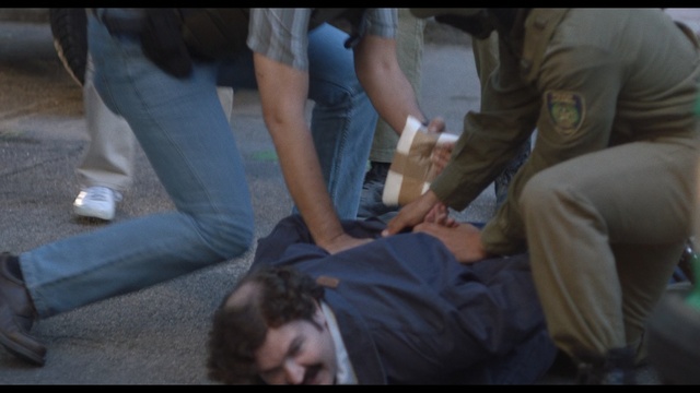 Video Reference: mammal, vertebrate, human body, girl, arm, human, hand, fun