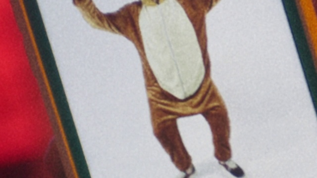 Video Reference: Drawing, Art, Illustration, Fawn, Painting