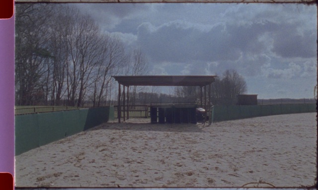 Video Reference: Sky, Tree, Winter, Cloud, Table, House