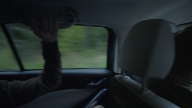 Video Reference: Vehicle door, Mode of transport, Vehicle, Car, Automotive exterior, Automotive design, Windshield, Auto part, Compact car, Window